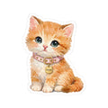Itchy Kitty