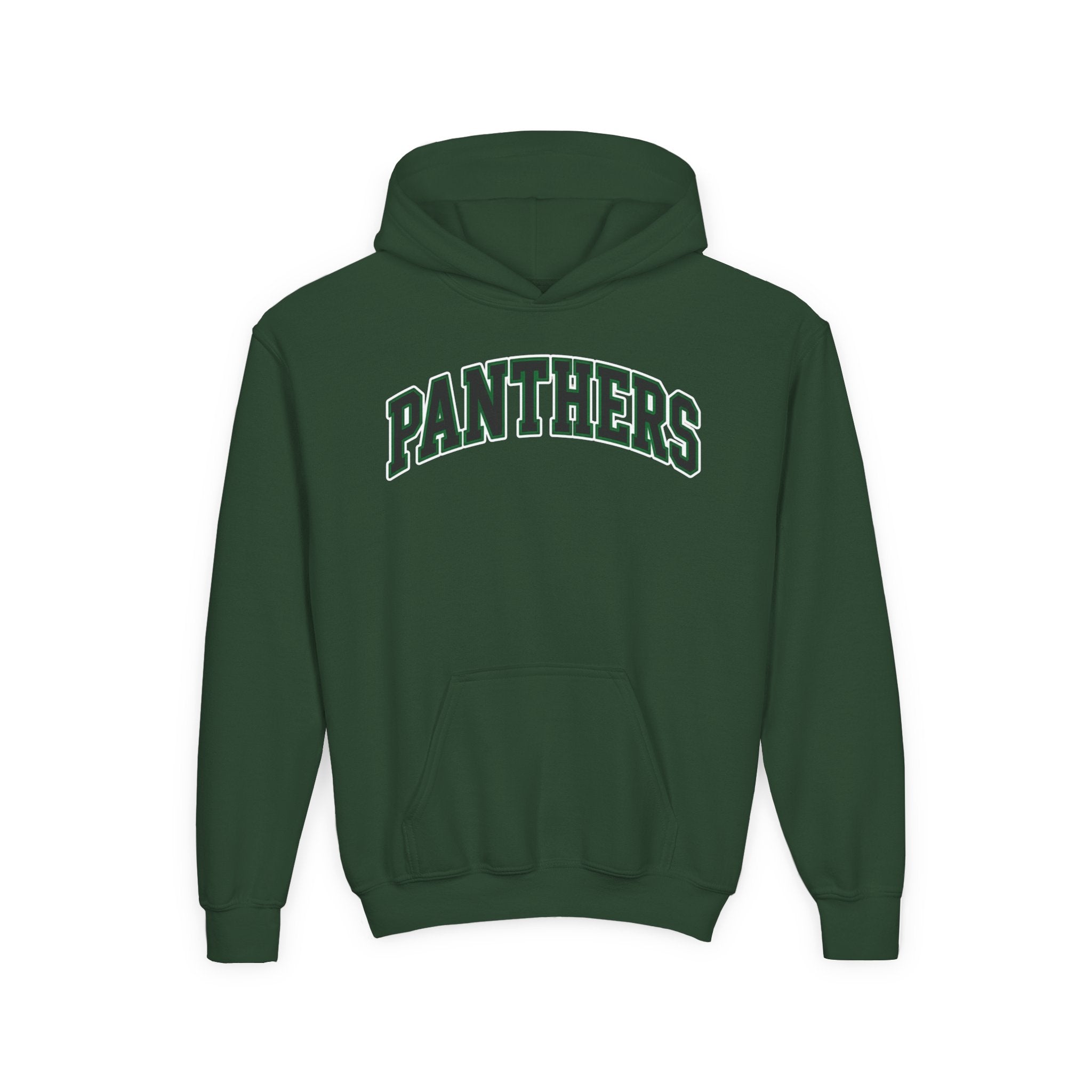 Panthers Youth Heavy Blend Hoodie