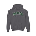 Panthers Youth Heavy Blend Hoodie