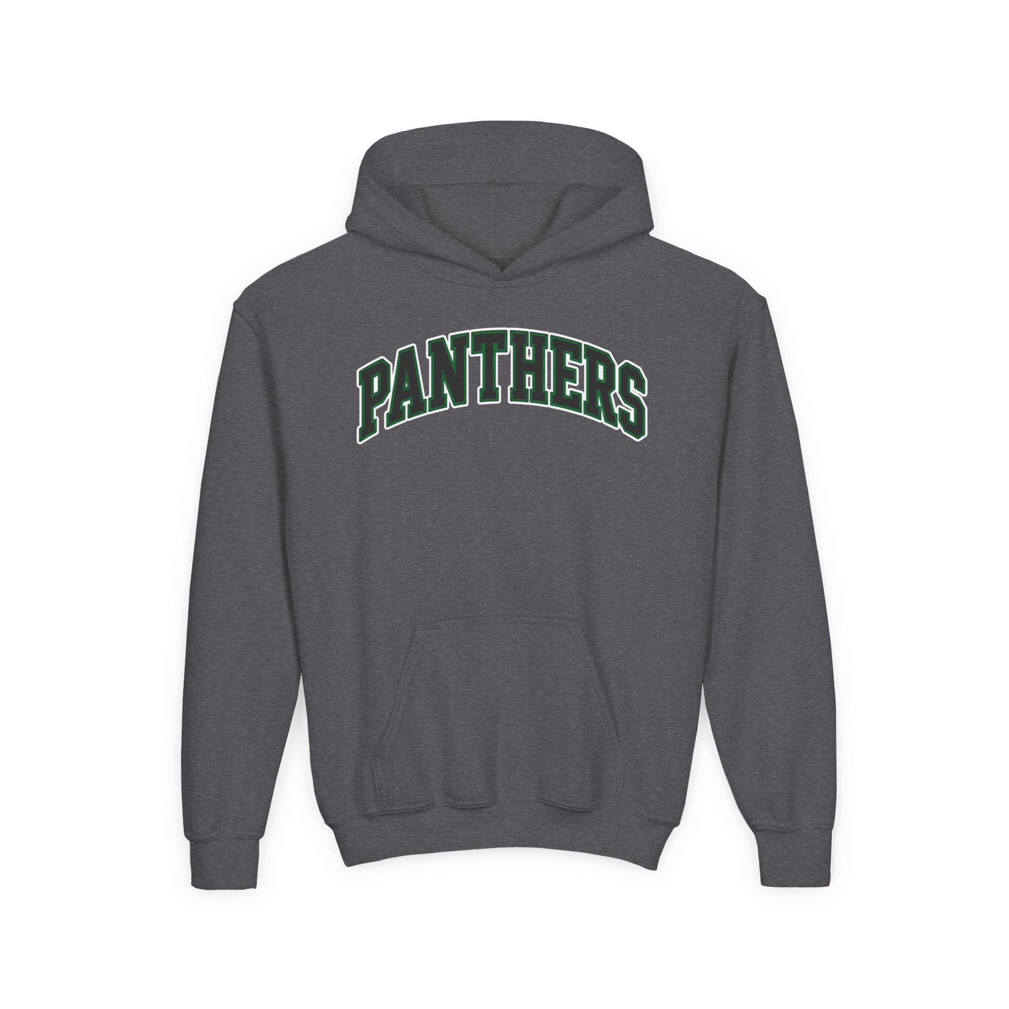 Panthers Youth Heavy Blend Hoodie