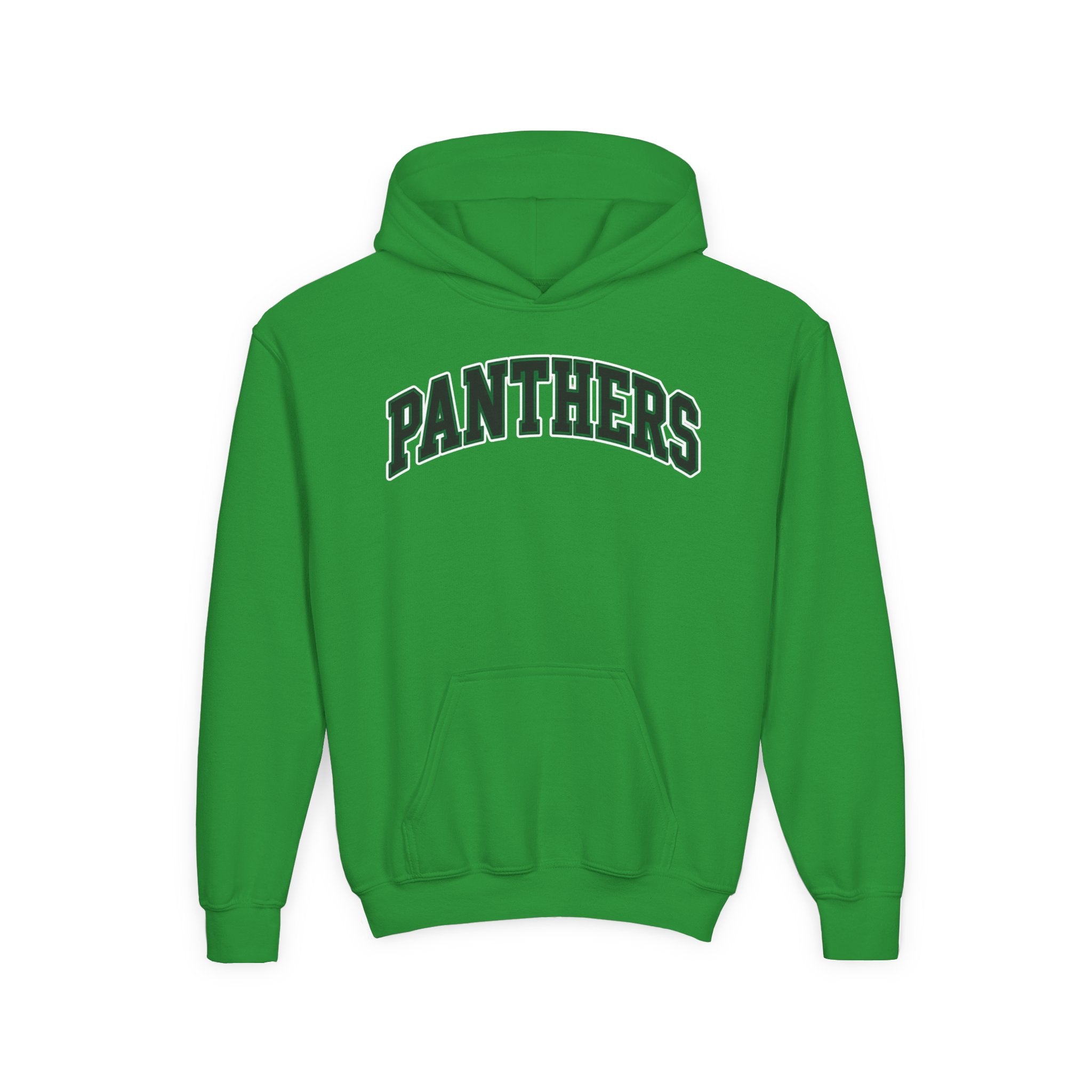 Panthers Youth Heavy Blend Hoodie